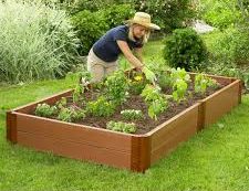 grow-backyard-vegetable-garden32