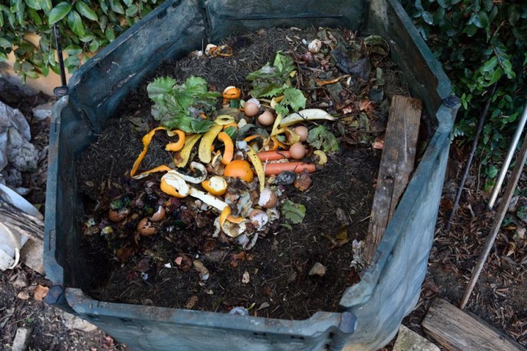 How to Make a Compost: A Step by Step Guide