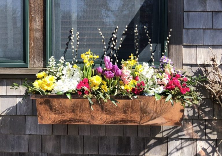 Window Sill Garden: Make the Most of your Flower Boxes
