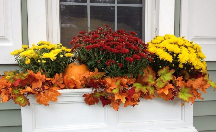 Fall Flower Box Ideas
